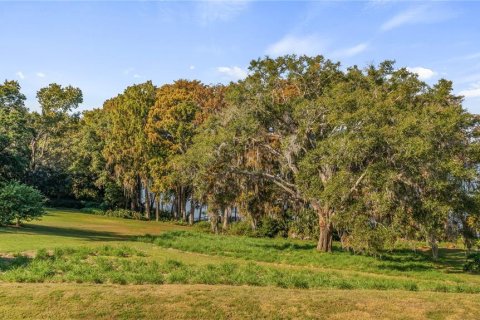 Land in Eustis, Florida № 2133506 - photo 2