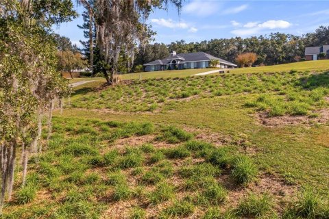 Land in Eustis, Florida № 2133506 - photo 29