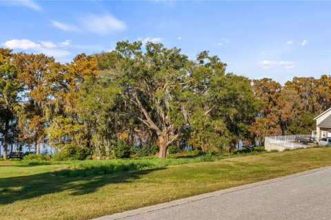 Land in Eustis, Florida № 2133506 - photo 7