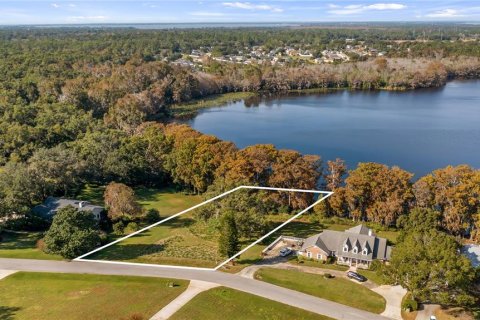 Land in Eustis, Florida № 2133506 - photo 20