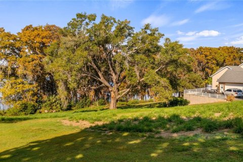 Land in Eustis, Florida № 2133506 - photo 27