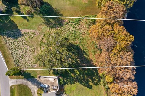 Land in Eustis, Florida № 2133506 - photo 8