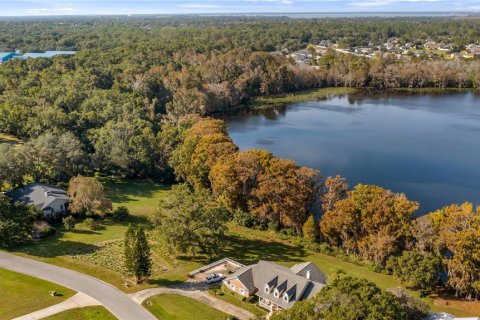 Land in Eustis, Florida № 2133506 - photo 23
