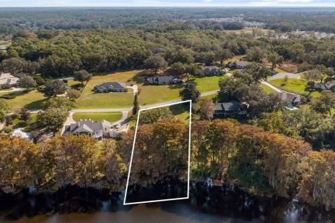 Land in Eustis, Florida № 2133506 - photo 26