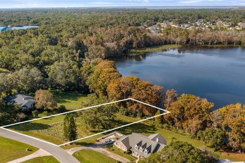 Land in Eustis, Florida № 2133506 - photo 6