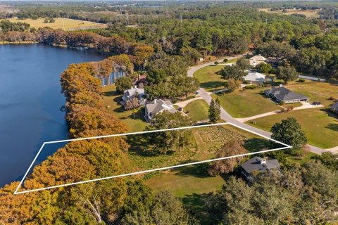 Land in Eustis, Florida № 2133506 - photo 14