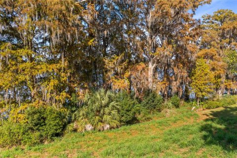 Land in Eustis, Florida № 2133506 - photo 30