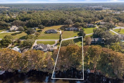 Land in Eustis, Florida № 2133506 - photo 10