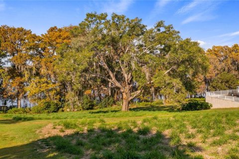 Land in Eustis, Florida № 2133506 - photo 28