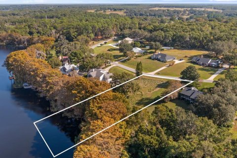 Land in Eustis, Florida № 2133506 - photo 4