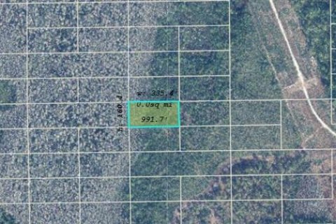 Land in Orlando, Florida № 2163681 - photo 2
