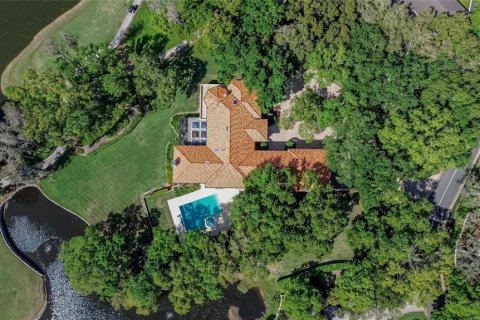 Villa ou maison à vendre à Tampa, Floride: 8 chambres, 949.65 m2 № 2134684 - photo 3