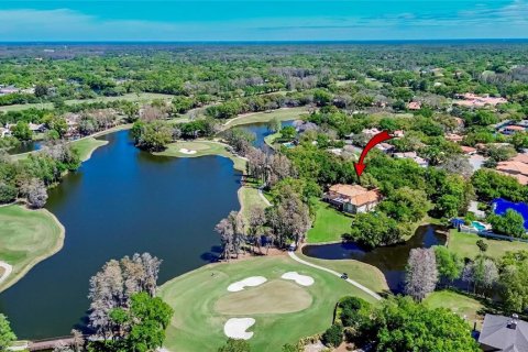 Villa ou maison à vendre à Tampa, Floride: 8 chambres, 949.65 m2 № 2134684 - photo 7