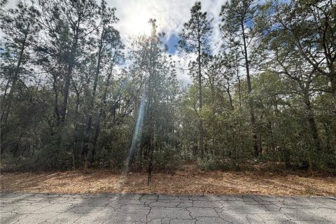 Land in Inverness, Florida № 2162944 - photo 7