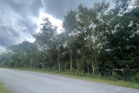 Land in Inverness, Florida № 2162944 - photo 6