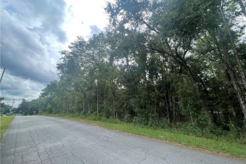 Land in Inverness, Florida № 2162944 - photo 5
