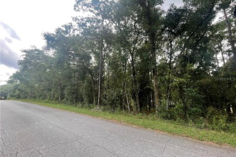 Land in Inverness, Florida № 2162944 - photo 3