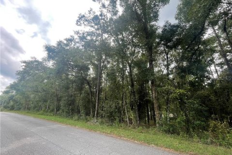 Land in Inverness, Florida № 2162944 - photo 4
