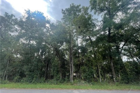 Land in Inverness, Florida № 2162944