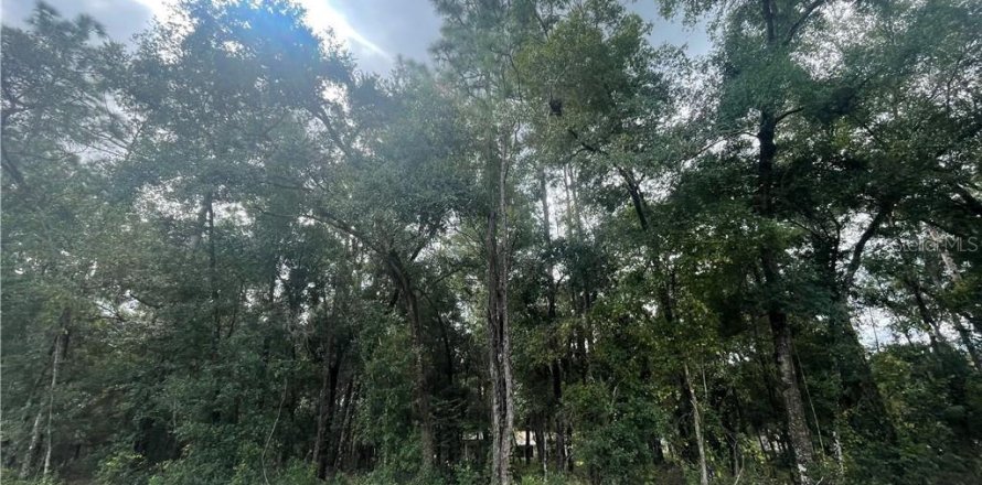 Land in Inverness, Florida № 2162944