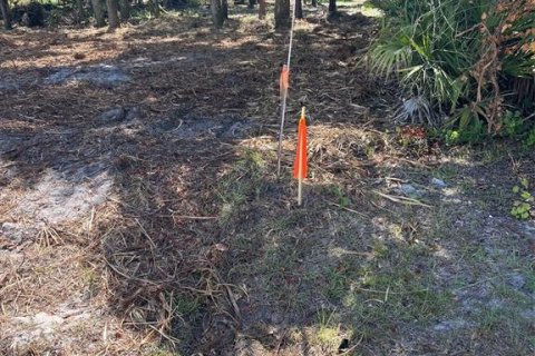 Terreno en venta en Webster, Florida № 1105929 - foto 6