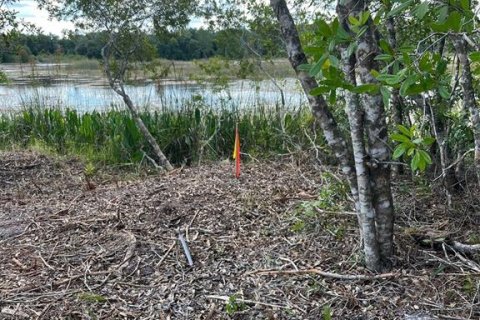 Terreno en venta en Webster, Florida № 1105929 - foto 3