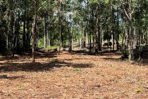 Terreno en venta en Webster, Florida № 1105929 - foto 8
