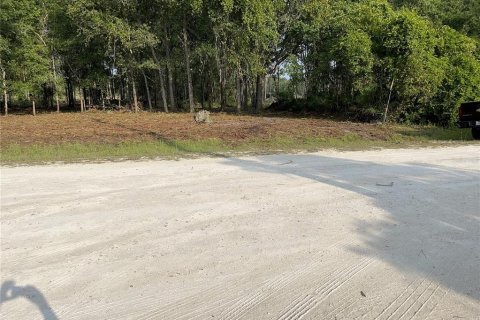 Terreno en venta en Webster, Florida № 1105929 - foto 2