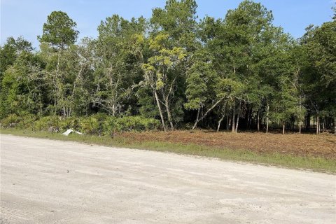 Terreno en venta en Webster, Florida № 1105929 - foto 1