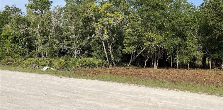 Terreno en Webster, Florida № 1105929