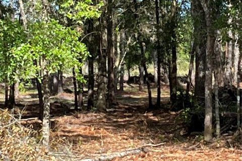 Terreno en venta en Webster, Florida № 1105929 - foto 7