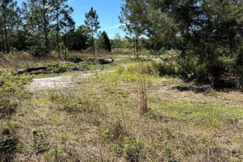 Terreno en venta en Webster, Florida № 1105929 - foto 11