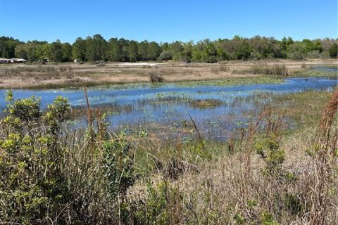 Terreno en venta en Webster, Florida № 1105929 - foto 10