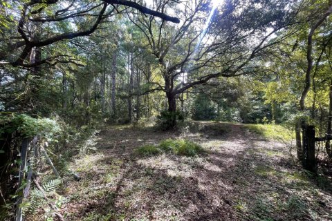 House in Yulee, Florida 3 bedrooms, 153.01 sq.m. № 771793 - photo 1