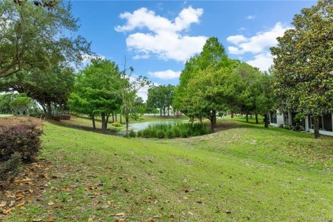 Casa en venta en Lecanto, Florida, 2 dormitorios, 126.25 m2 № 1719371 - foto 29