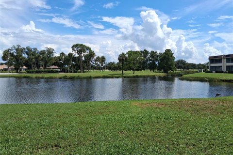Copropriété à louer à Sarasota, Floride: 1 chambre, 66.61 m2 № 2379095 - photo 17