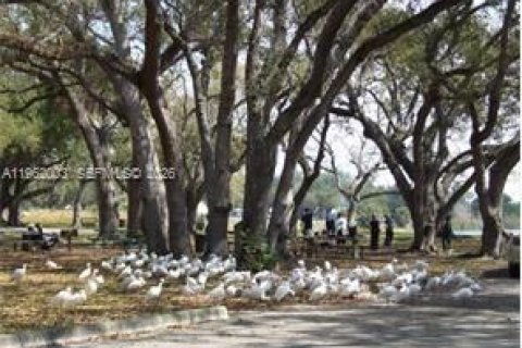 Townhouse in Hollywood, Florida 4 bedrooms, 175.49 sq.m. № 2041163 - photo 24