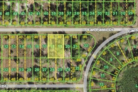 Land in Punta Gorda, Florida № 2163216