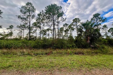 Land in Port Charlotte, Florida № 2159942
