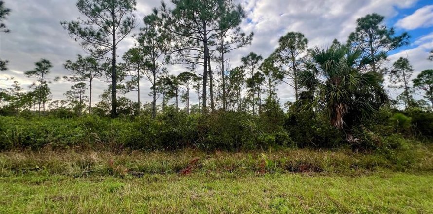 Land in Port Charlotte, Florida № 2159942