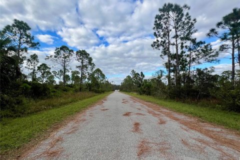 Land in Port Charlotte, Florida № 2159942 - photo 3