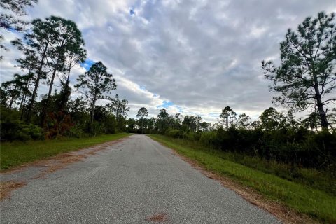 Land in Port Charlotte, Florida № 2159942 - photo 2