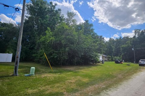 Land in Summerfield, Florida № 2159739 - photo 2