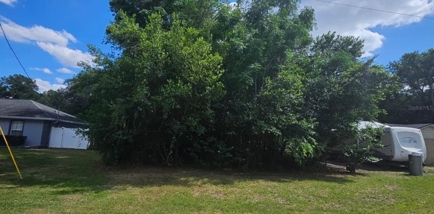 Land in Summerfield, Florida № 2159739