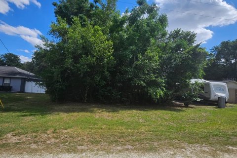 Land in Summerfield, Florida № 2159739 - photo 5