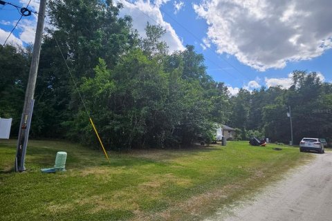 Land in Summerfield, Florida № 2159739 - photo 4