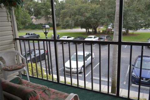 Studio in the Condo in Palm Harbor, Florida  № 1917118 - photo 16