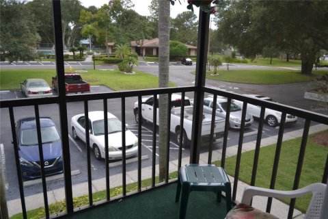 Studio in the Condo in Palm Harbor, Florida  № 1917118 - photo 1