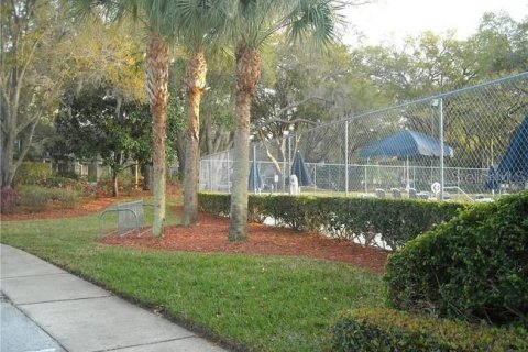 Studio in the Condo in Palm Harbor, Florida  № 1917118 - photo 30