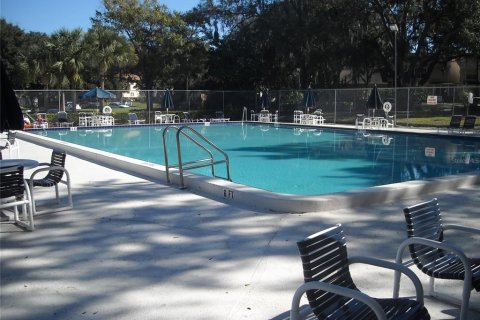 Studio in the Condo in Palm Harbor, Florida  № 1917118 - photo 19